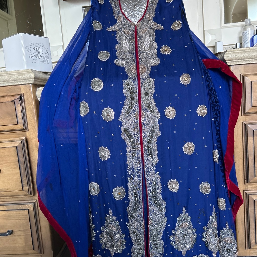 Extremely beautiful Indian Pakistani long gown - Picture 11 of 14